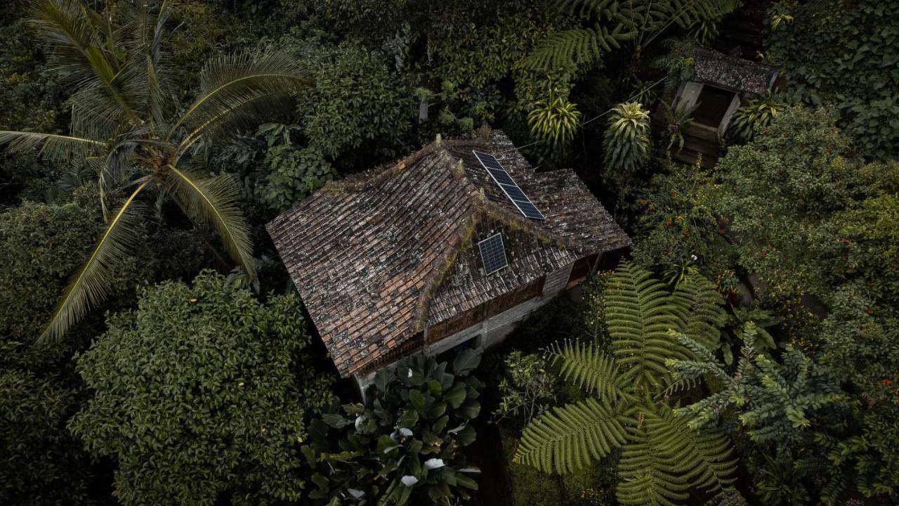 Padangan  Kebun Kita Eco Lodge מראה חיצוני תמונה