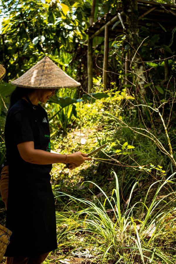 Padangan  Kebun Kita Eco Lodge מראה חיצוני תמונה