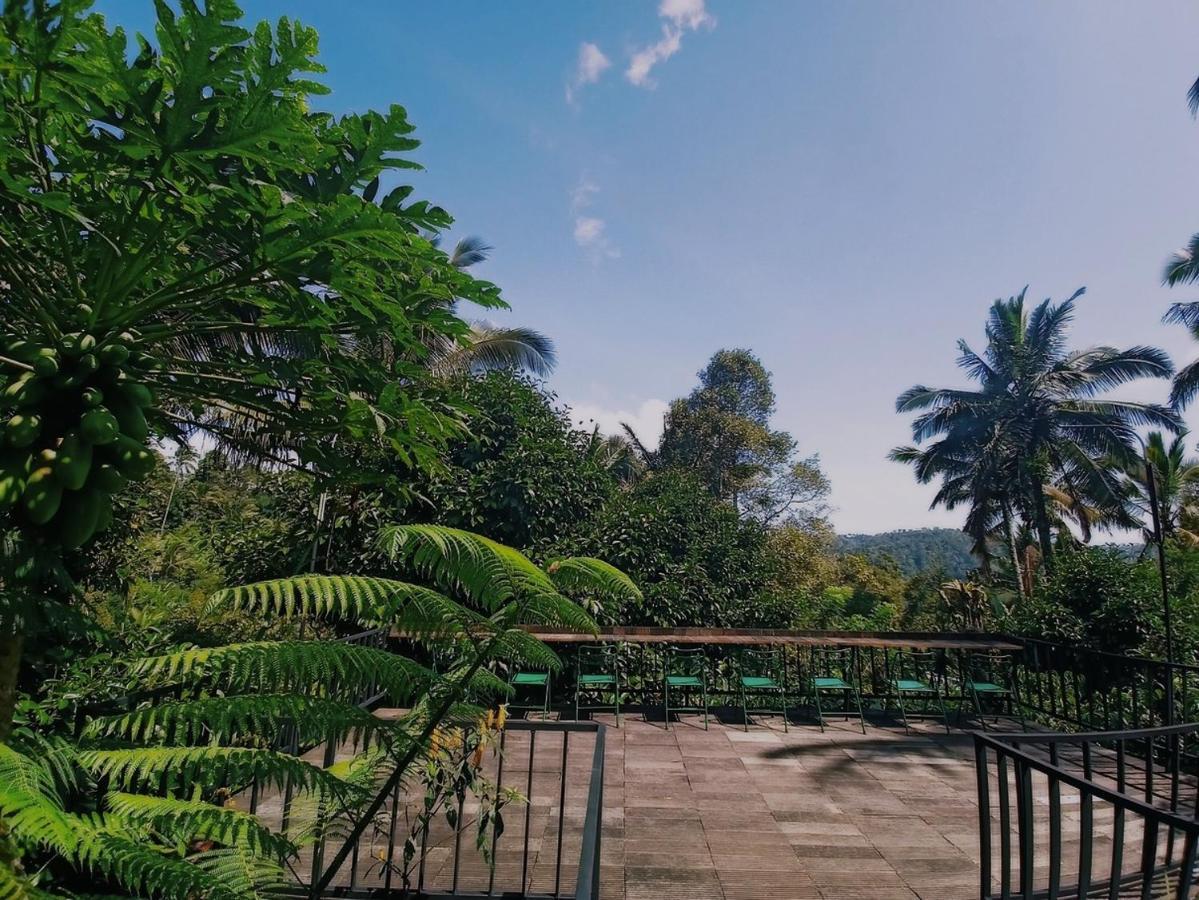 Padangan  Kebun Kita Eco Lodge מראה חיצוני תמונה