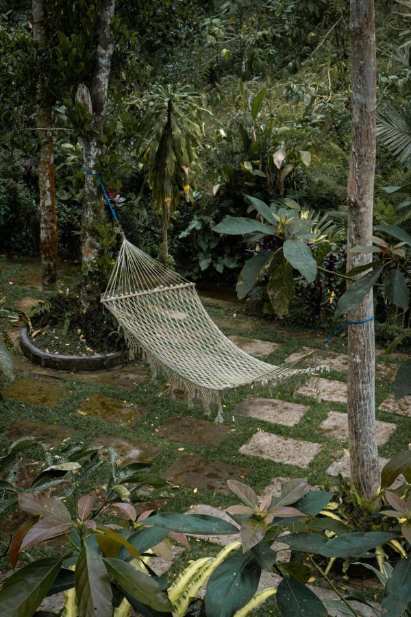 Padangan  Kebun Kita Eco Lodge מראה חיצוני תמונה