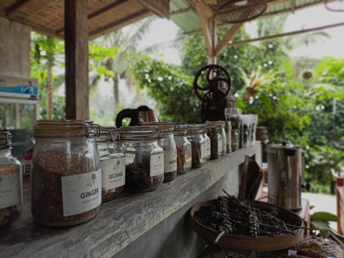Padangan  Kebun Kita Eco Lodge מראה חיצוני תמונה