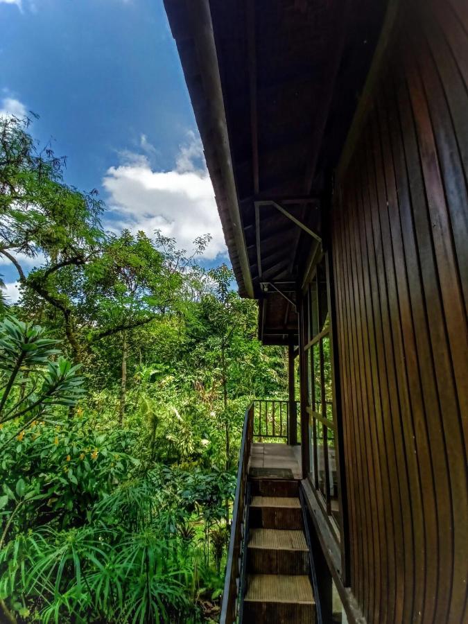 Padangan  Kebun Kita Eco Lodge מראה חיצוני תמונה