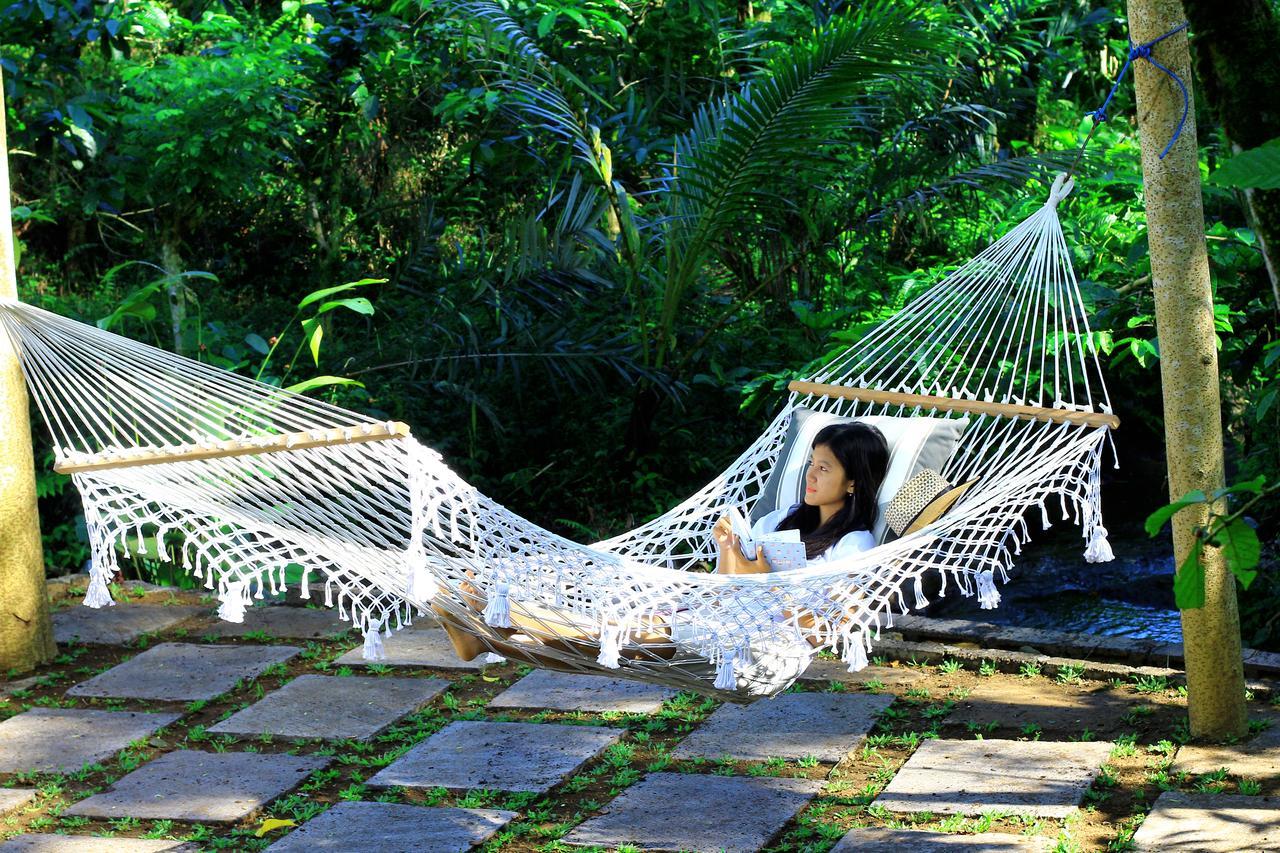 Padangan  Kebun Kita Eco Lodge מראה חיצוני תמונה