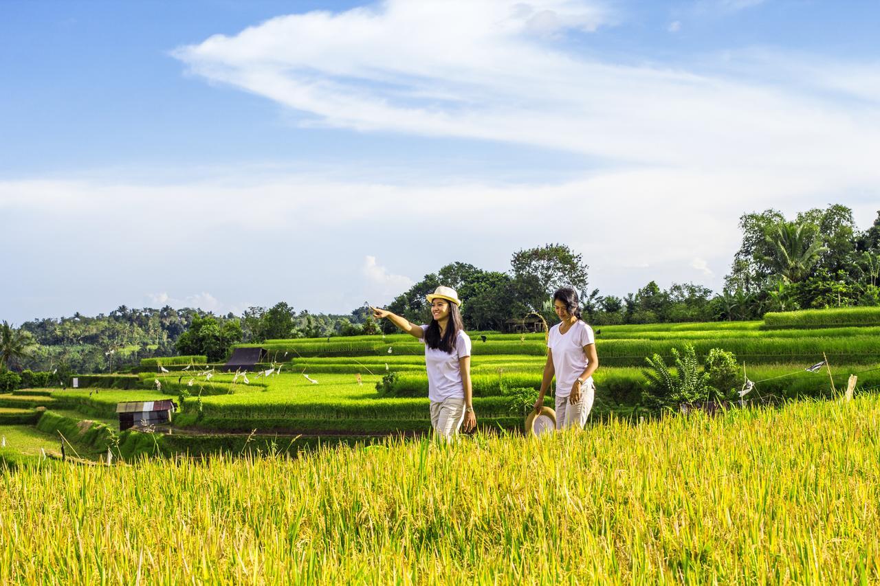 Padangan  Kebun Kita Eco Lodge מראה חיצוני תמונה